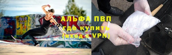 прущие грибы Липки