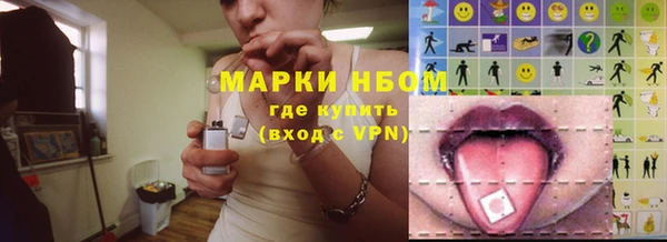 прущие грибы Липки
