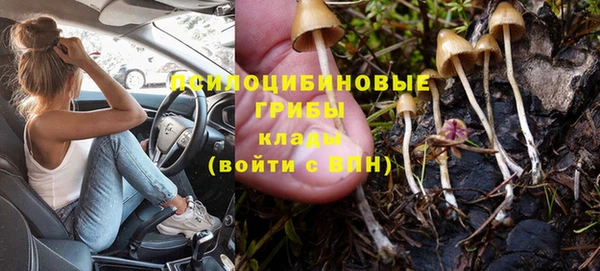 прущие грибы Липки