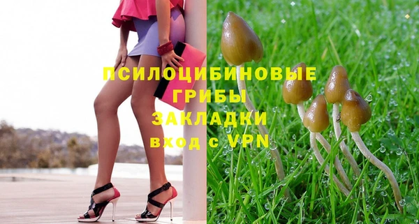 apvp Лиски