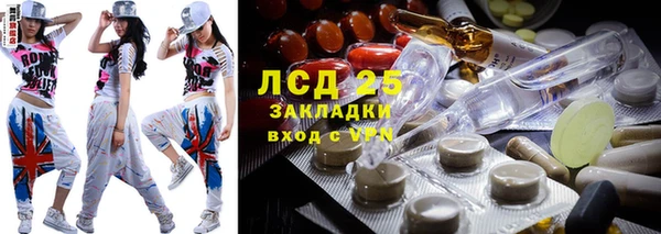 прущие грибы Липки
