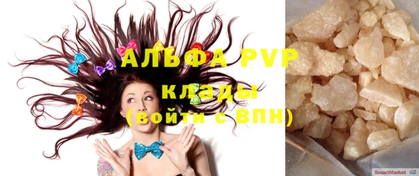 прущие грибы Липки