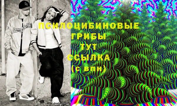 apvp Лиски