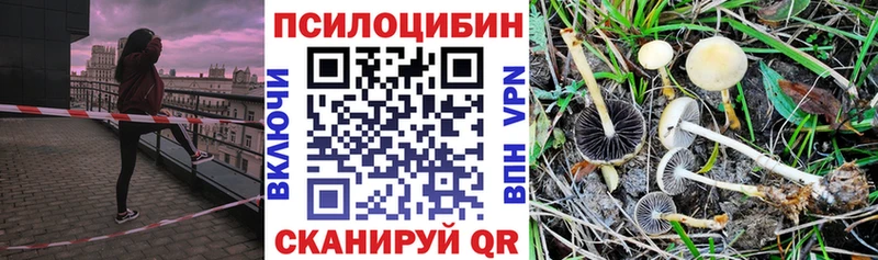 Галлюциногенные грибы Psilocybine cubensis  Нижний Тагил 