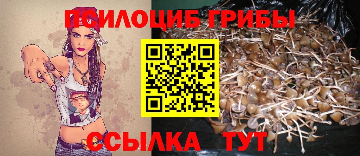 дарнет шоп  Вход с VPN  Нижний Тагил  Псилоцибиновые грибы GOLDEN TEACHER 