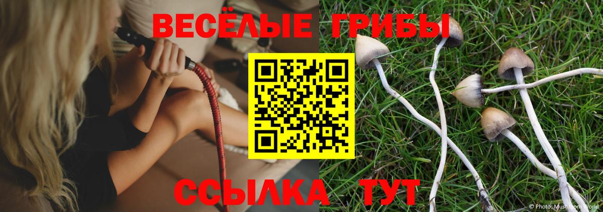Псилоцибиновые грибы Psilocybe Нижний Тагил